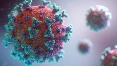 Назвали регіони України, в яких виявили «південноафриканський» штам коронавірусу