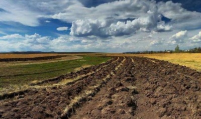 Ставки зростатимуть: в Україні земля дорожчатиме після відкриття ринку землі