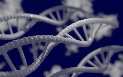 Вчені з’ясували, як аварія на ЧАЕС вплинула на генетичне здоров’я