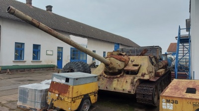 Житель Чехії близько 30 років зберігав удома рожевий танк і артустановку