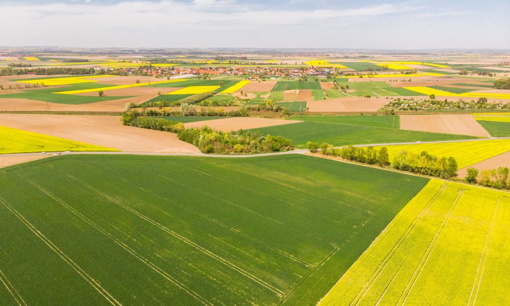 colorful agricultural fields at spring aerial dron PHT2Z5M min 2 1000x600