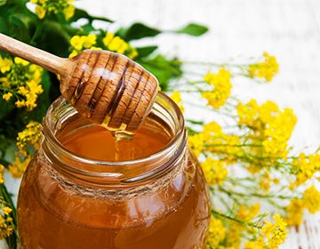 Правильний вибір ріпакового меду