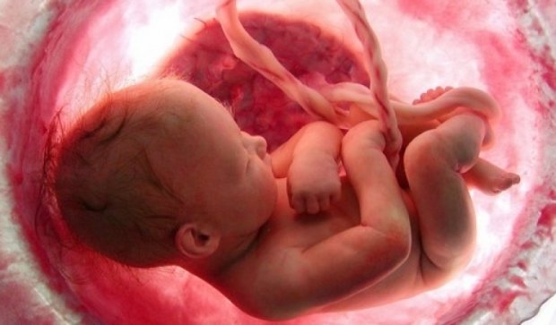 Про що може розповісти серцебиття малюка в утробі