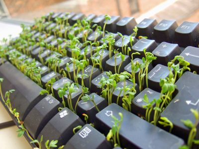 Як почистити клавіатуру ноутбука кілька способів чищення