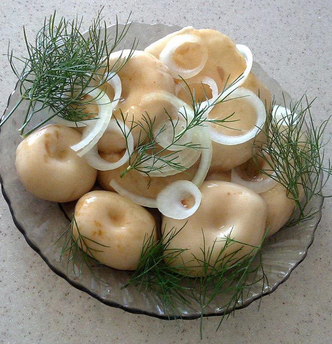 Солоні грузді - це страва, яка використовується в українській кухні здавна. Грузді – це великі, м
