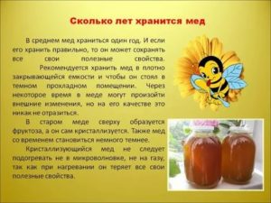 Як продовжити «життя» і користь меду: оптимальні умови зберігання