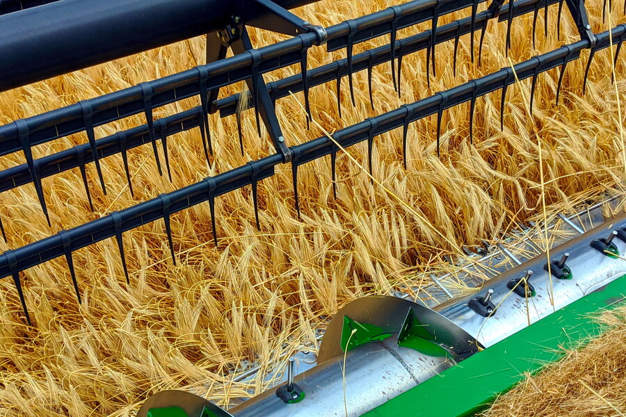 Аграрії Харківщини намолотили понад 276 тисяч тонн зерна нового врожаю