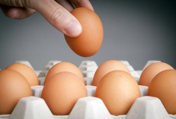 Як перевірити яйця на свіжість достовірні методи