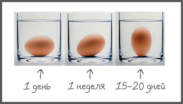 Як перевірити порожні яйця або повні