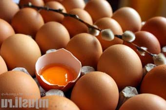 Яйця в житті