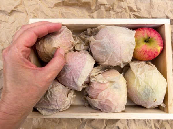Як підсушити яблука і груші для зимового зберігання