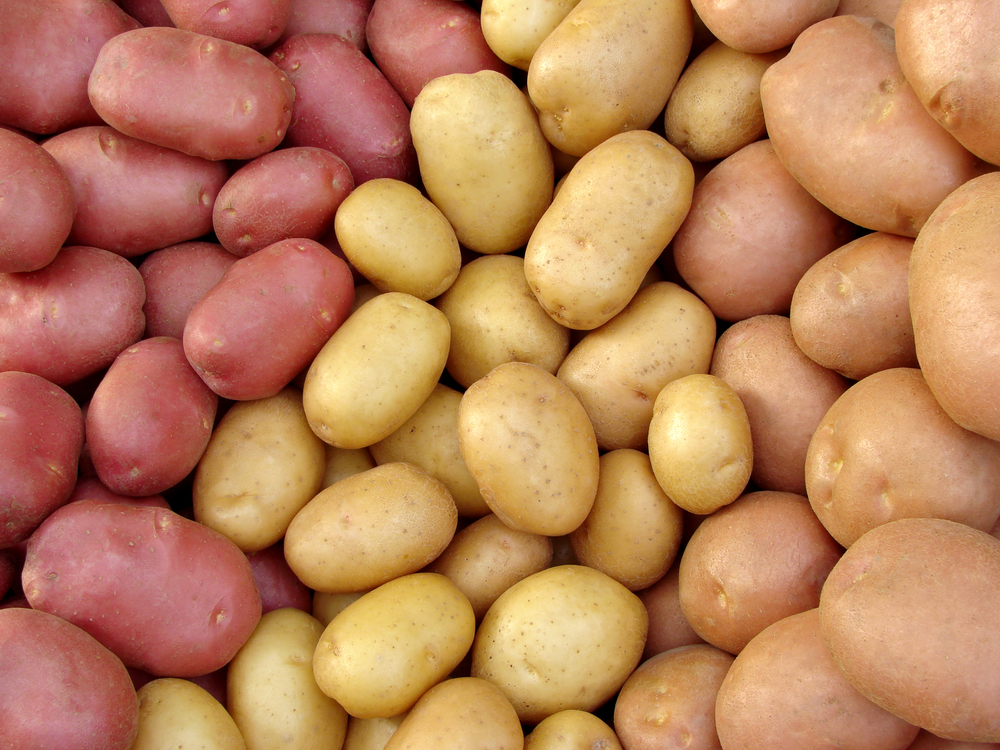 Картопляні оладки по-швейцарськи рецепт калорійність