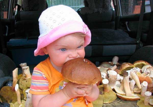 Чи можна дітям давати гриби які скільки і коли