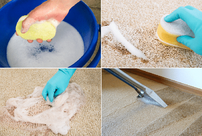 Як очистити килим від вовни плям і запахів