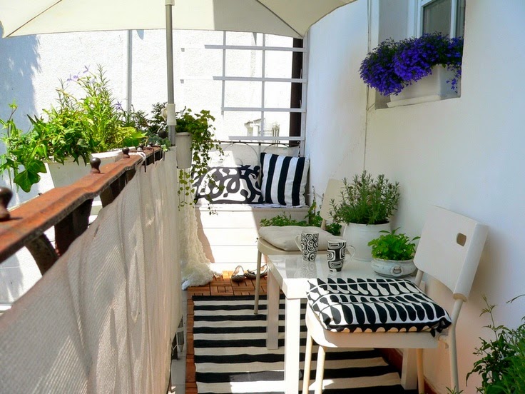 Міні сад на балконі фото та ідеї