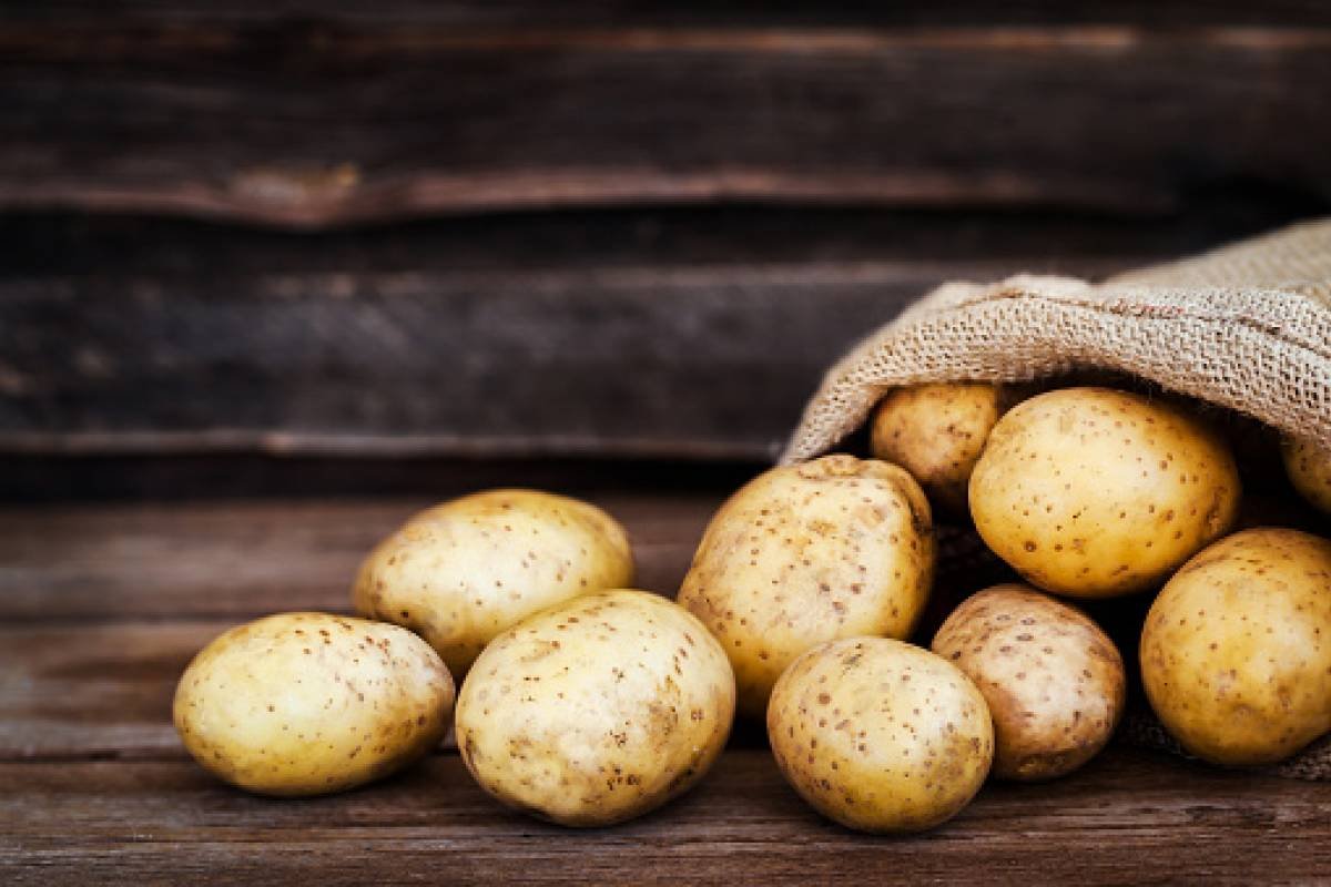 4 способи вирощування картоплі в домашніх умовах